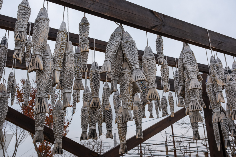 DSCF3741-향상됨-노이즈 감소-편집-편집.jpg