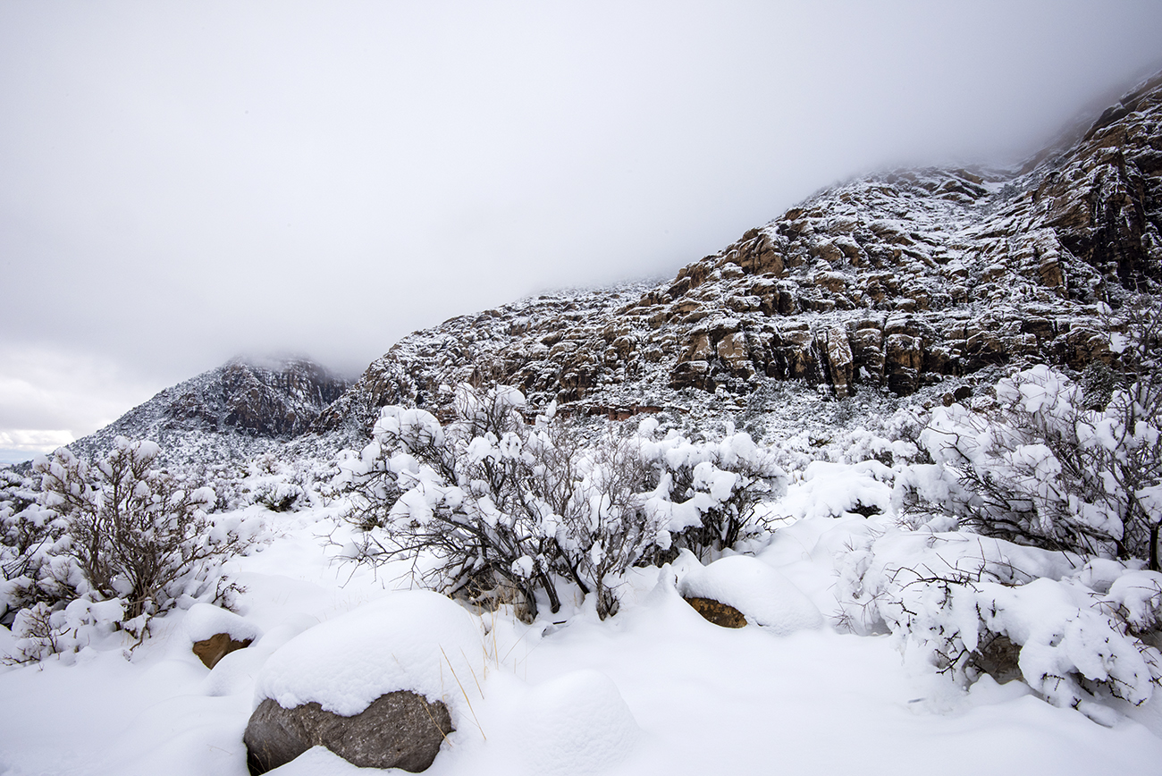 DSC_0664 PS Crop 1300px.jpg