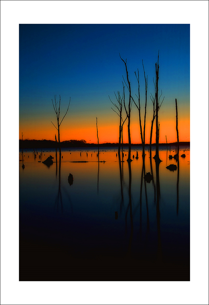 DSC_2066 copy600 copy.jpg