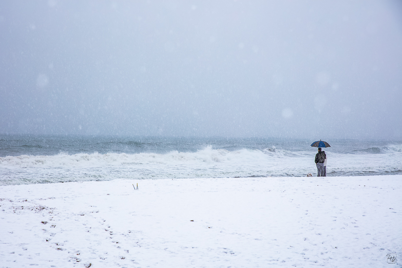 _I6A9221-향상됨-노이즈 감소-편집.jpg