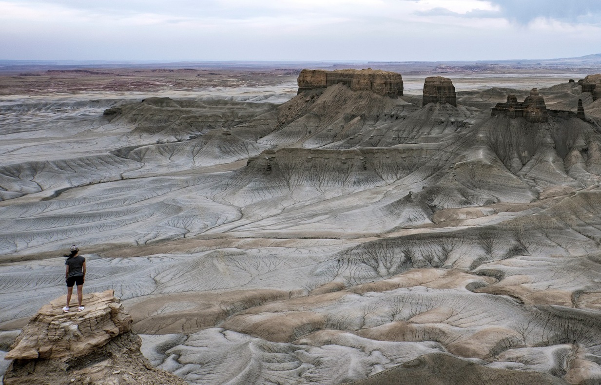 DSC_3367 PS Crop2 1800pxjpg~6.jpg