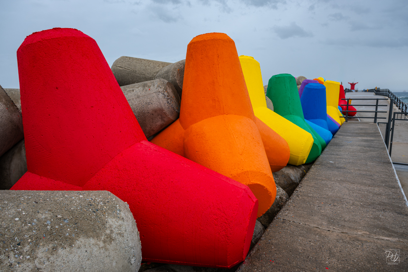 DSCF7852-향상됨-노이즈 감소-편집.jpg