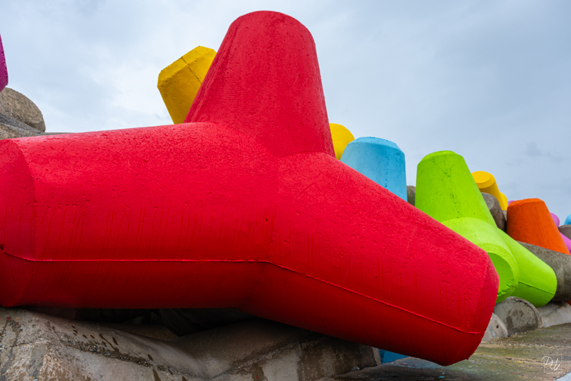 DSCF7858-향상됨-노이즈 감소-편집.jpg