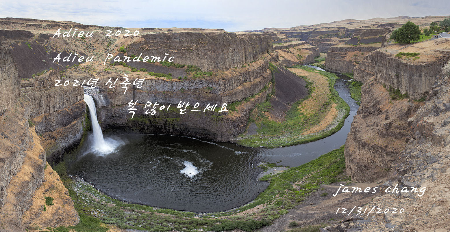 Adieu 2020.jpg