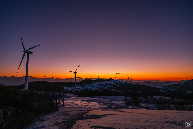 DSCF4649-향상됨-노이즈 감소-편집.jpg