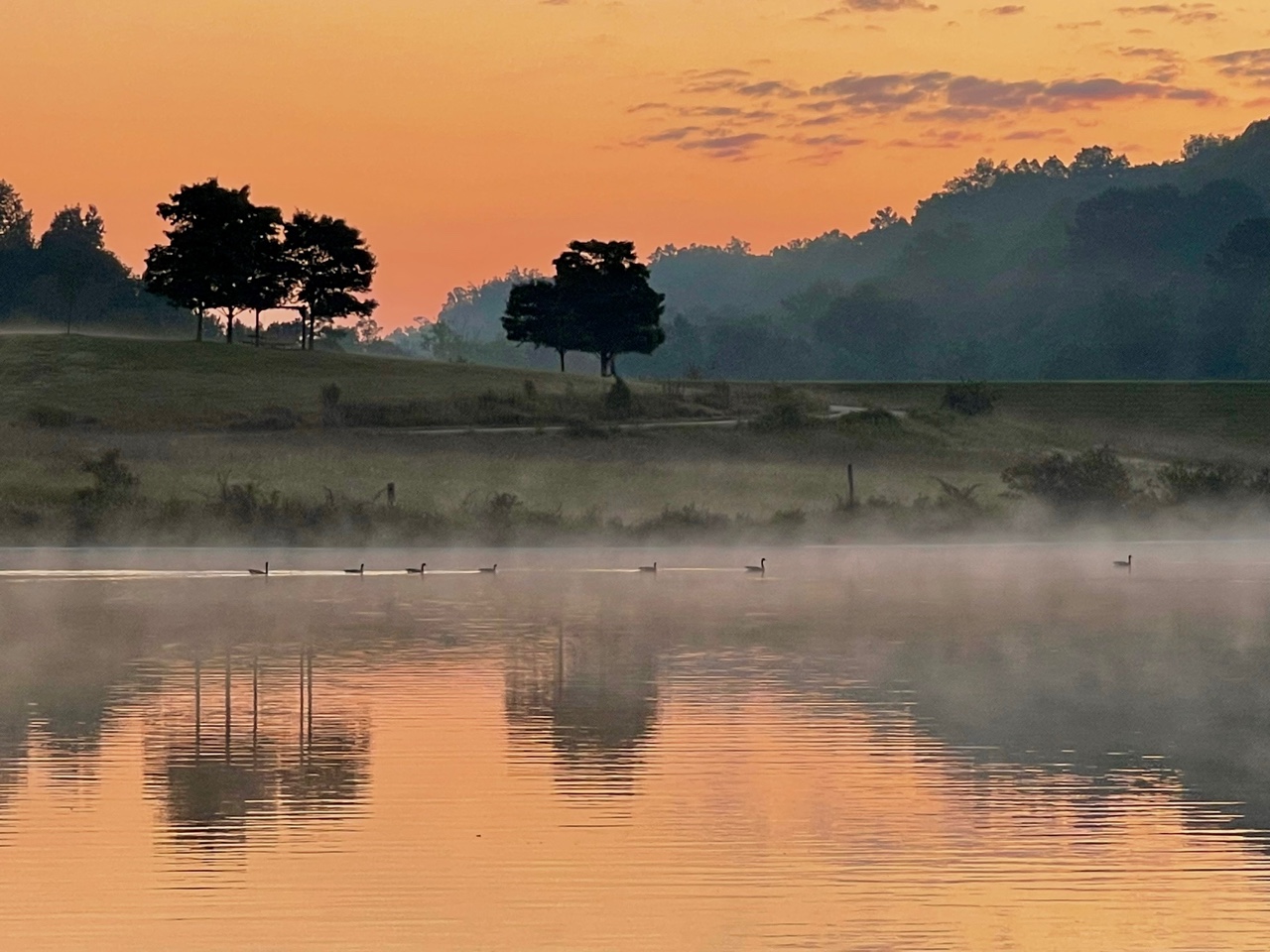 KakaoTalk_Photo_2022-09-19-12-25-15 001.jpeg