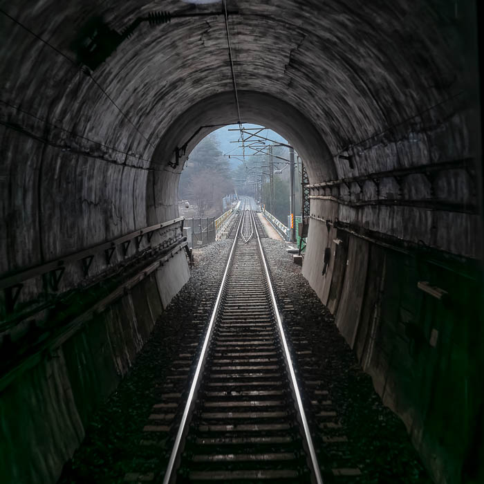 L1029472-향상됨-노이즈 감소-편집.jpg