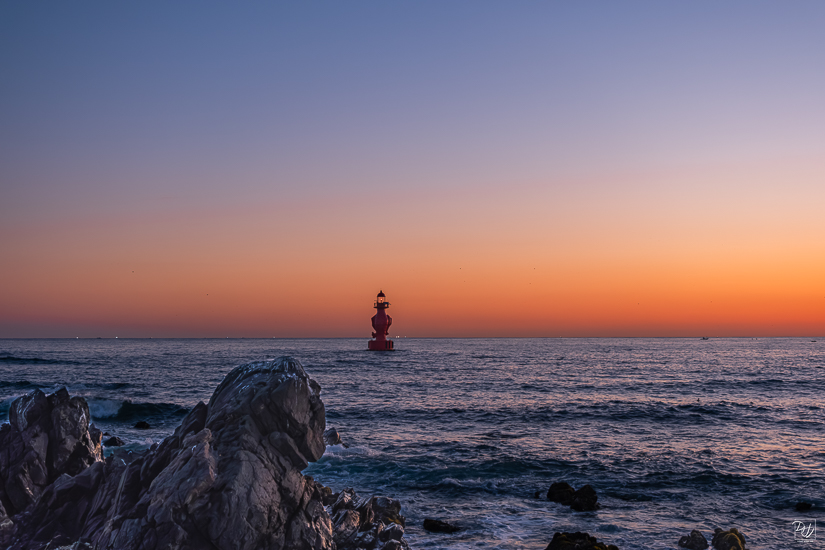 DSCF3785-향상됨-노이즈 감소-편집.jpg