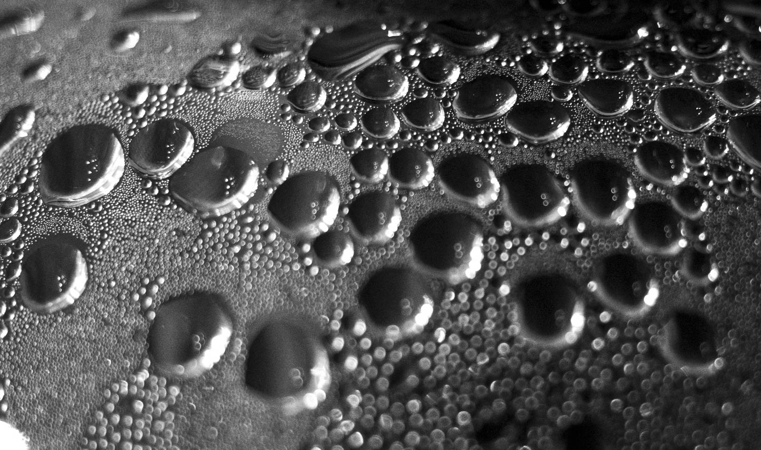 tea pot2  jan 2022.jpg