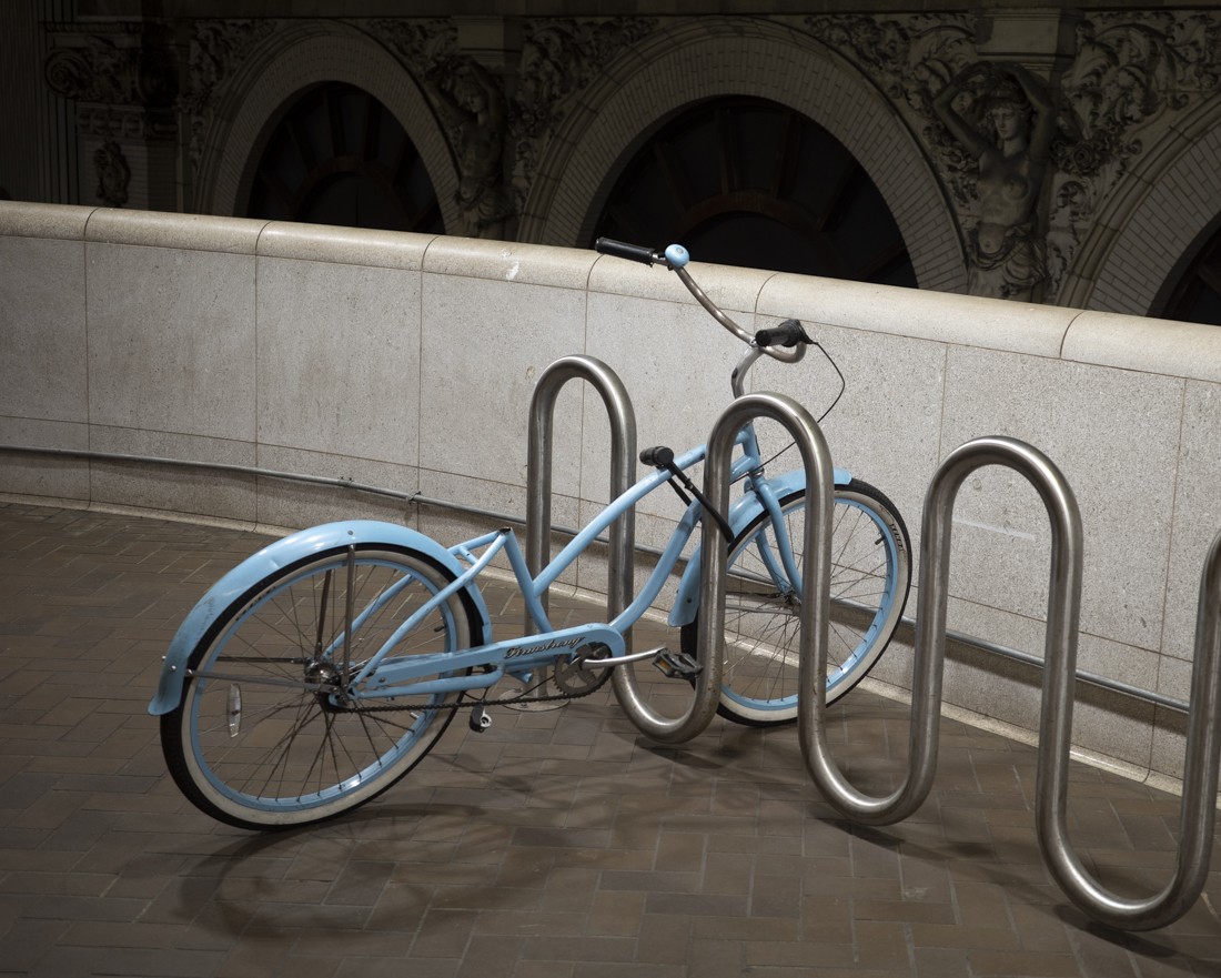 자유를 갈망하다.jpg