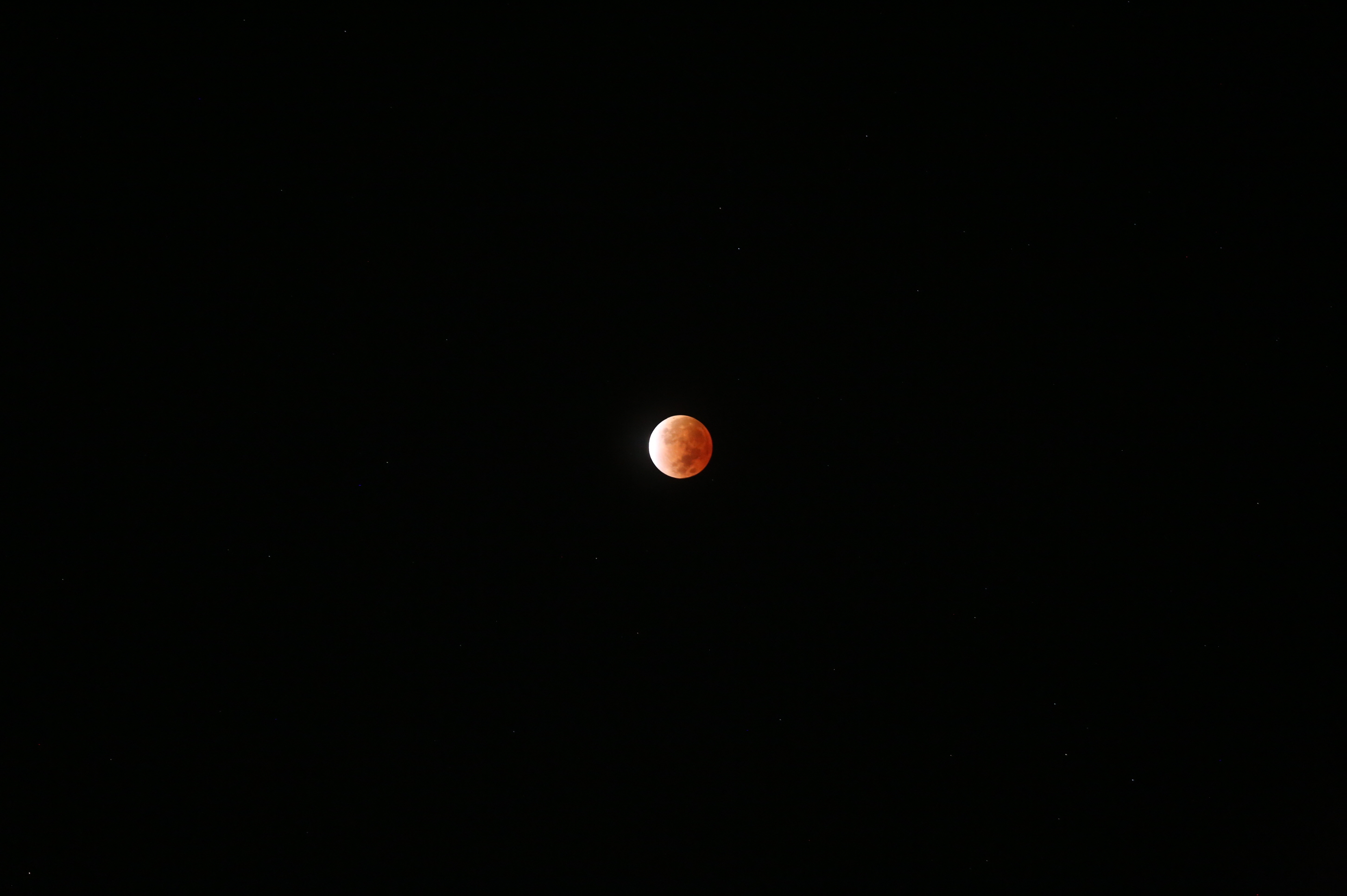 11-19 2[크기변환].JPG