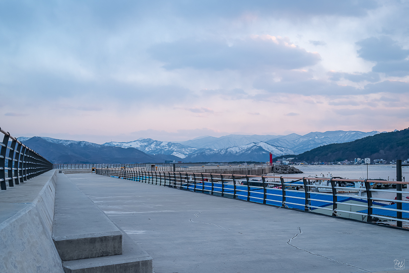 L1026299-향상됨-노이즈 감소-편집.jpg