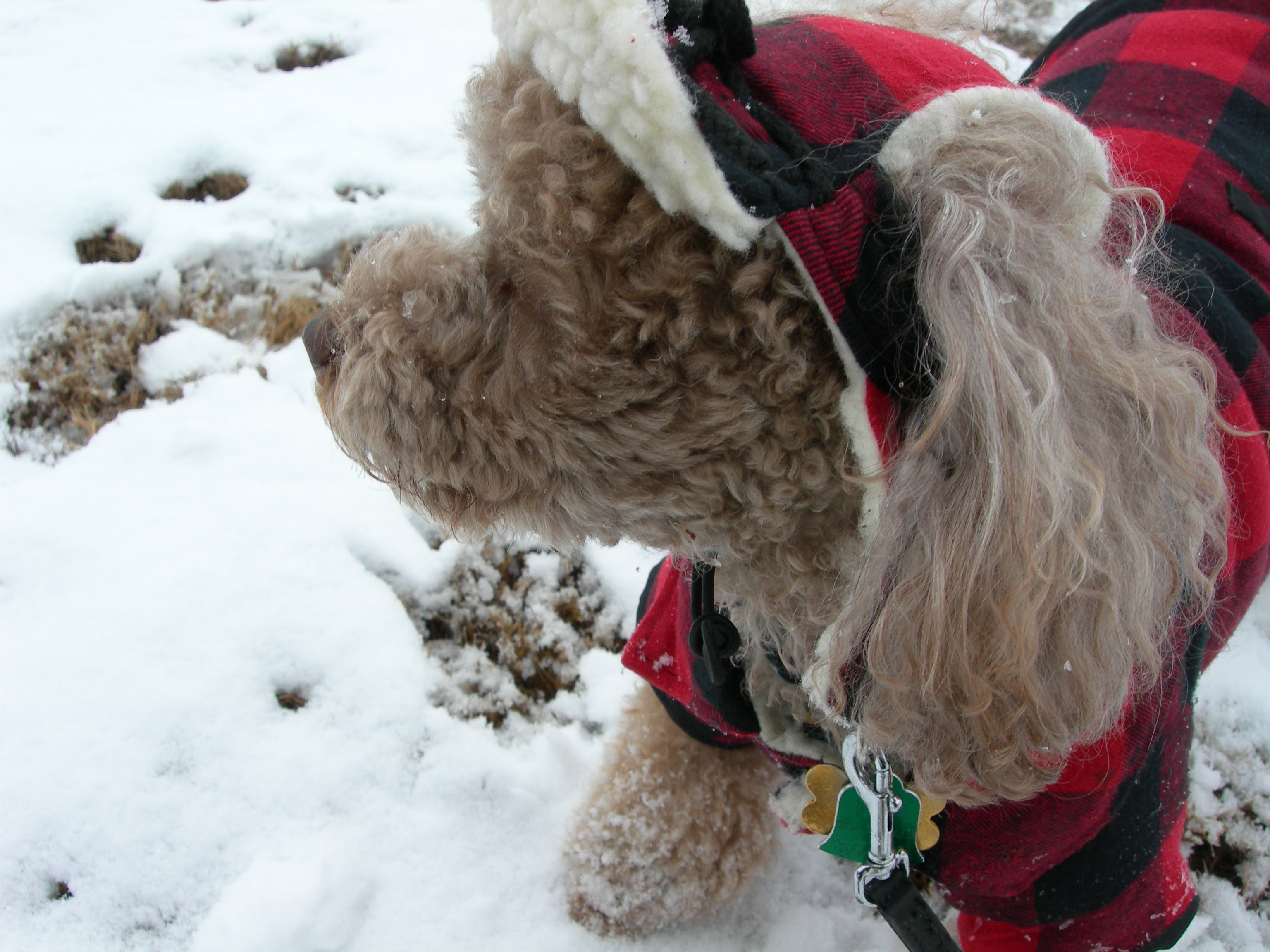 michelle s.kim 006.jpg*.jpg