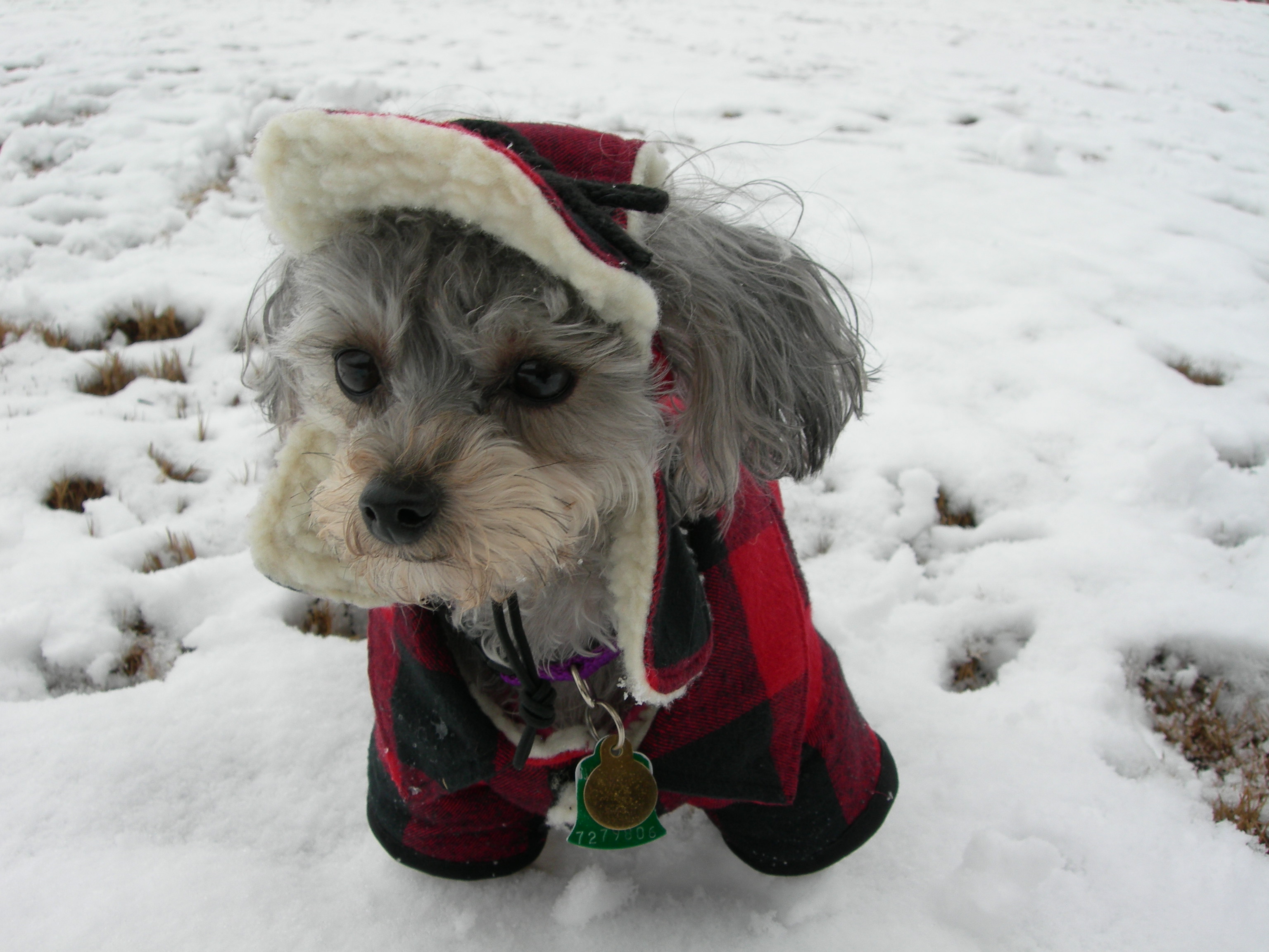 michelle s.kim 011.jpg*.jpg