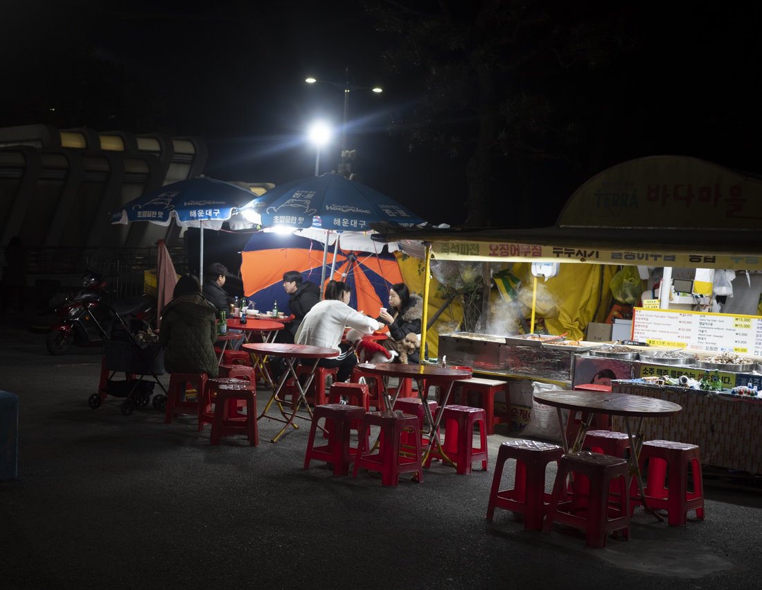 Dogs in stroller-1.jpg