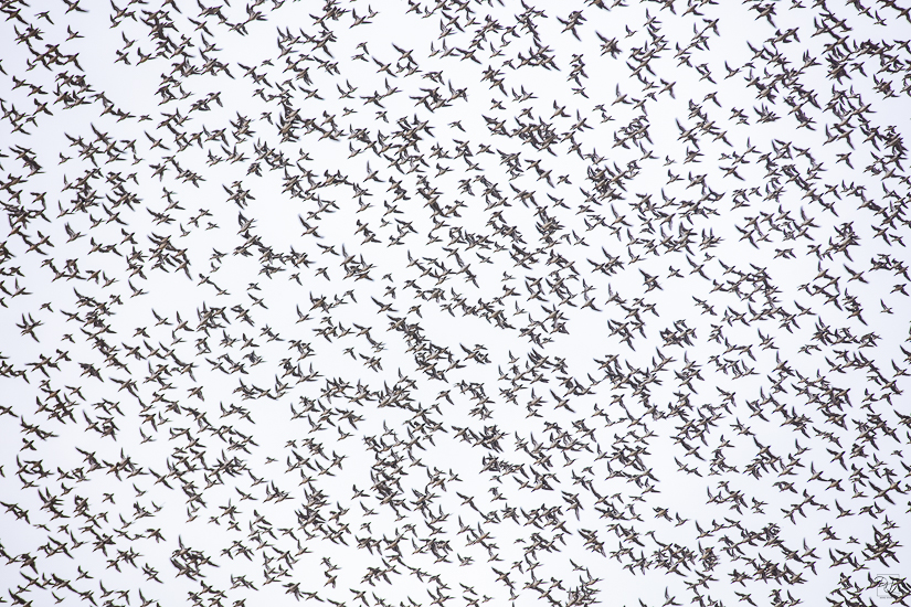 _I6A8584-향상됨-노이즈 감소-편집.jpg