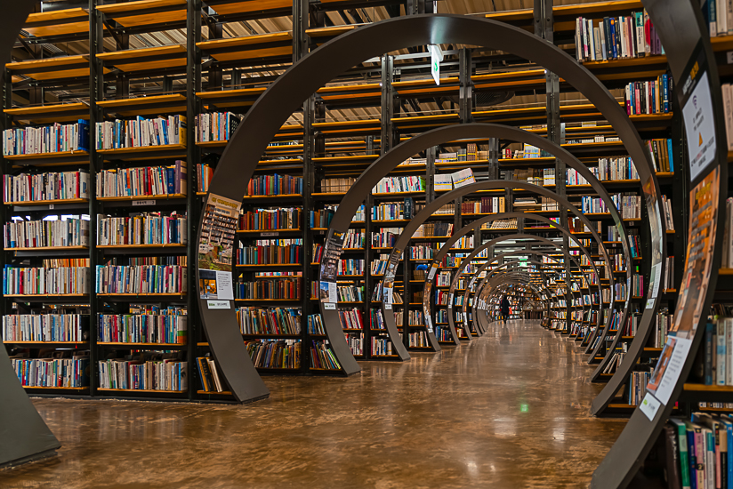 L1026684-향상됨-노이즈 감소-편집.jpg