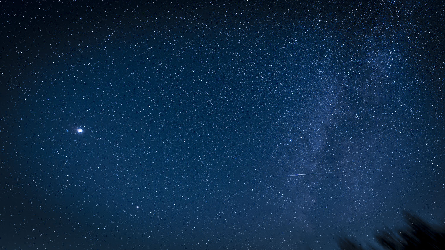 2J0A8275-Edit copy.jpg