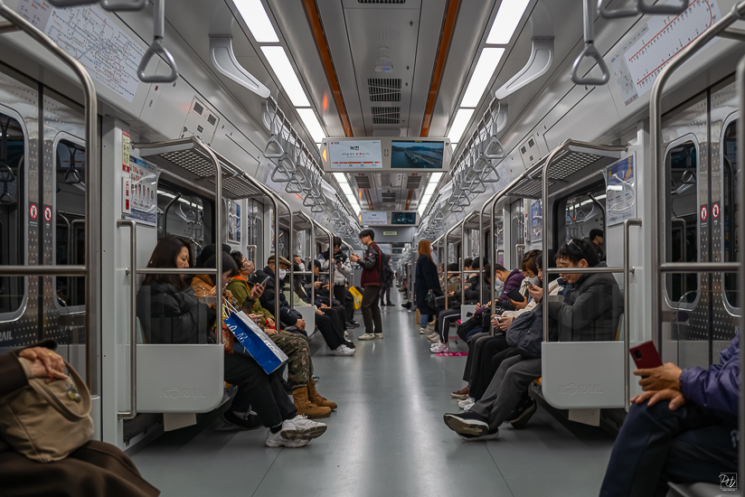 L1026266-향상됨-노이즈 감소-편집.jpg