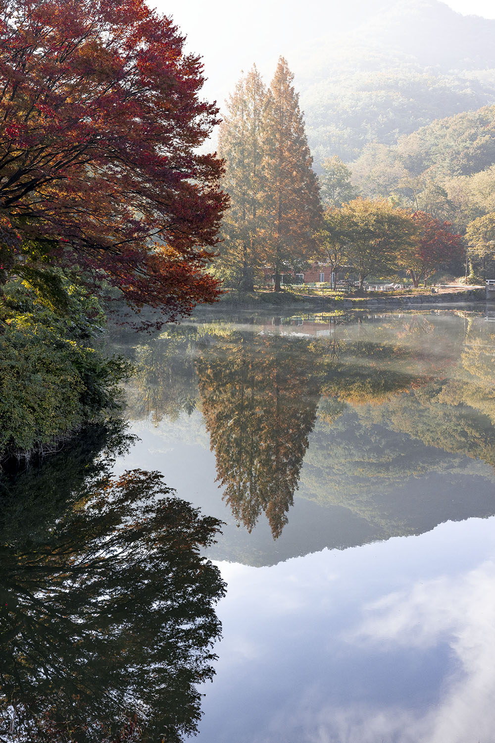 _S2A6276-Edit copy.jpg