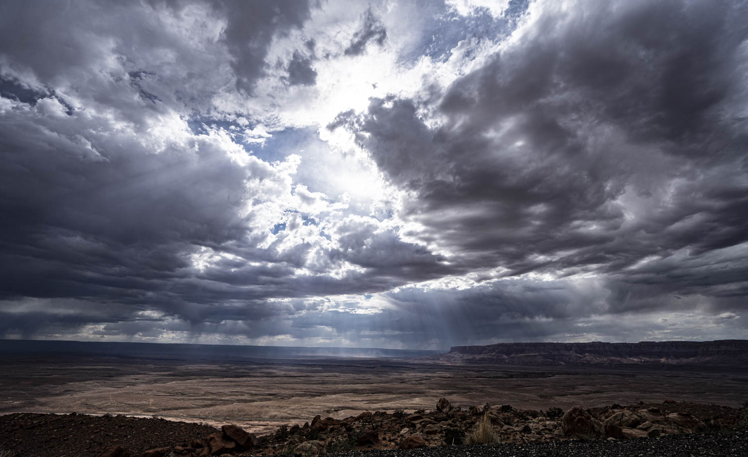 2022 wilderness 3.jpg