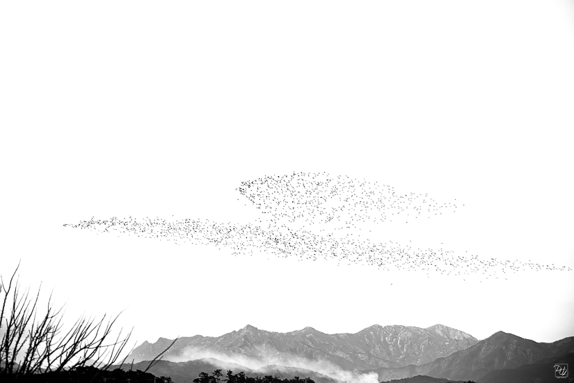 _I6A8564-향상됨-노이즈 감소-편집-편집.jpg