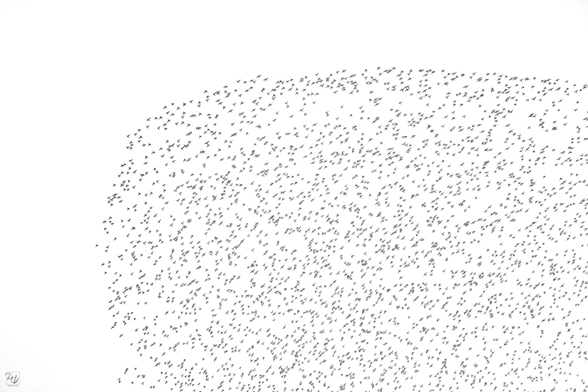 _I6A8523-향상됨-노이즈 감소-편집-편집.jpg