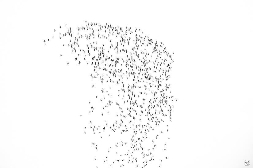 _I6A8556-향상됨-노이즈 감소-편집.jpg