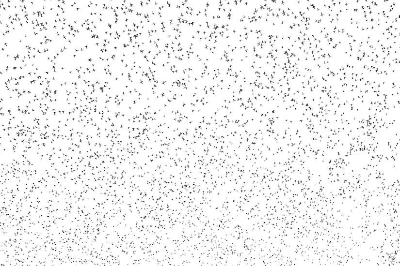 _I6A8578-향상됨-노이즈 감소-편집.jpg