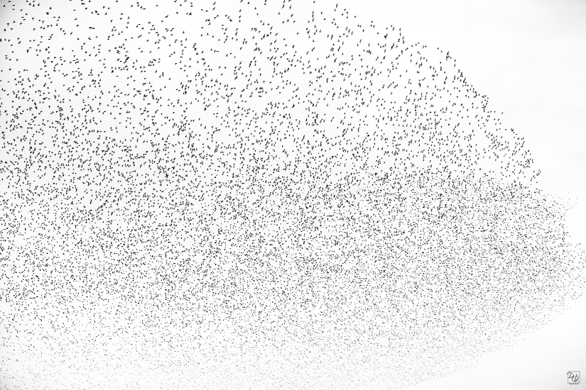 _I6A8580-향상됨-노이즈 감소-편집.jpg