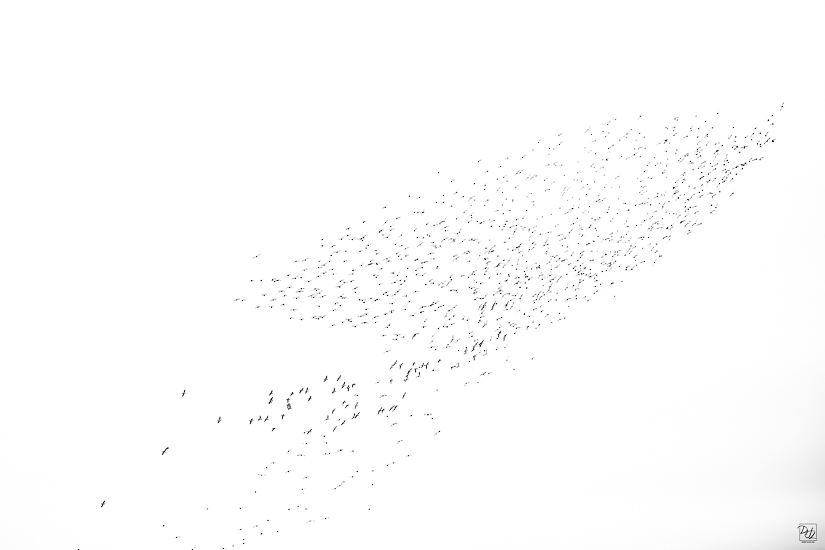 _I6A8557-향상됨-노이즈 감소-편집.jpg