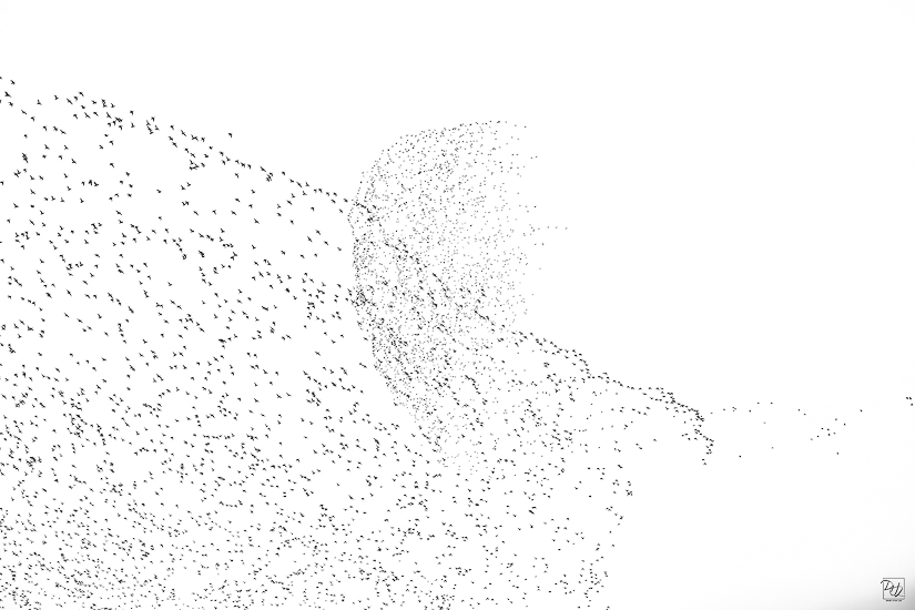 _I6A8576-향상됨-노이즈 감소-편집.jpg