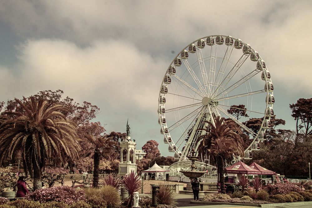 EOS Rebel T6i_3242-편집.jpg