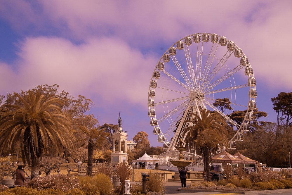 EOS Rebel T6i_3242.jpg