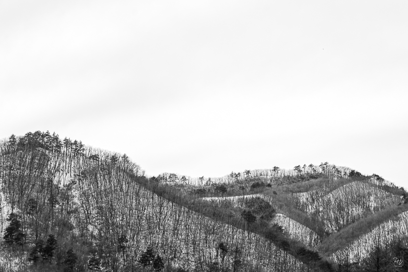 DSCF4278-향상됨-노이즈 감소-편집-2.jpg