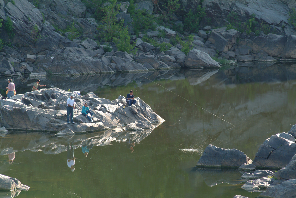 new folder(11) 339s.jpg