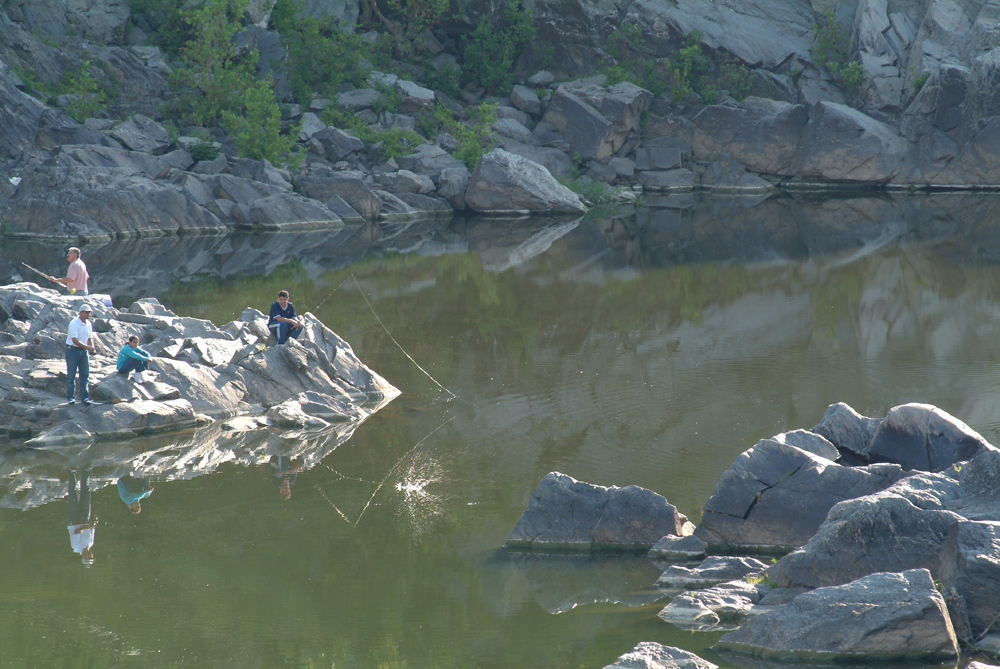 new folder(11) 332s.jpg