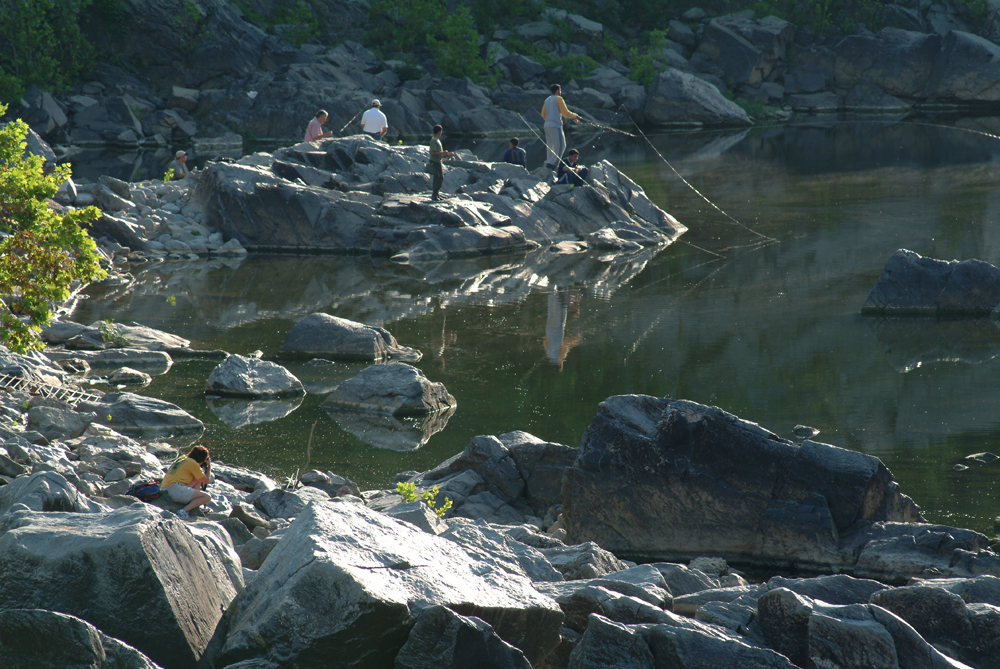 new folder(11) 293s.jpg