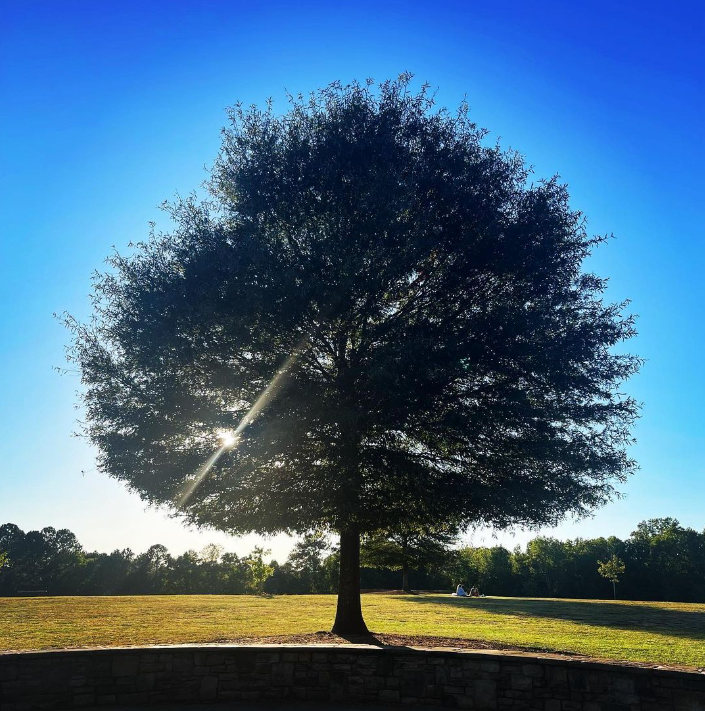 화면 캡처 2023-11-24 225131.png