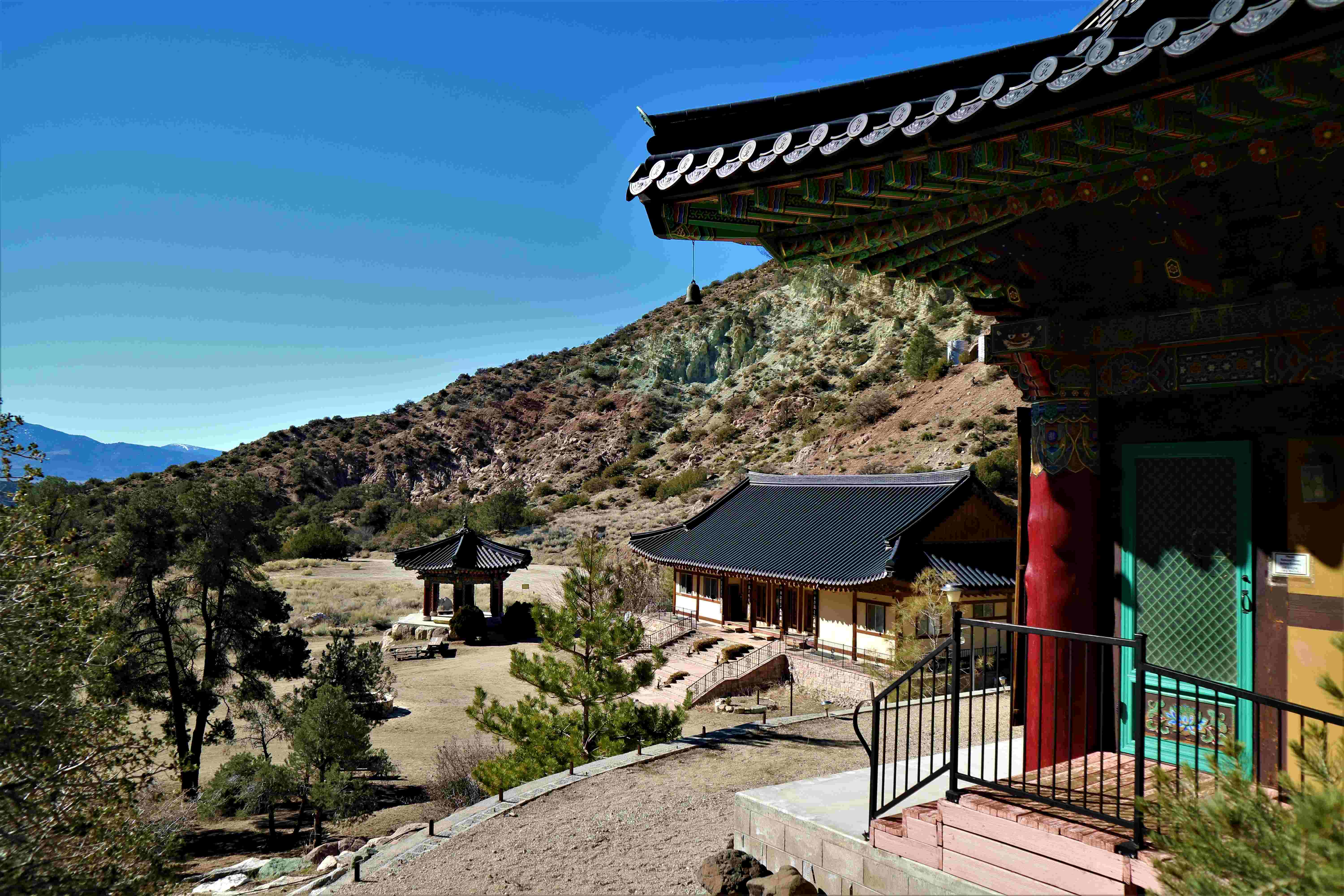 IMG_2668_M - Copy.jpg