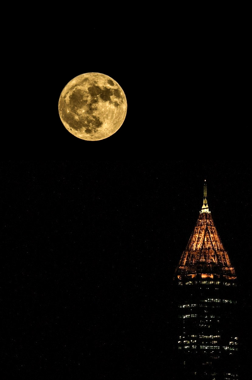 Merged_image01 (1).jpg