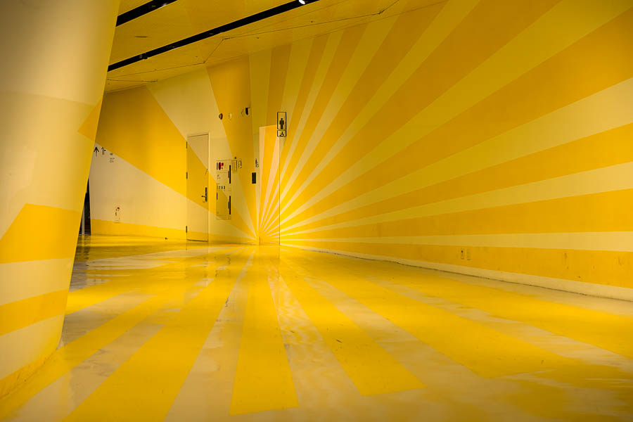 DSC_0097-향상됨-노이즈 감소-편집.jpg