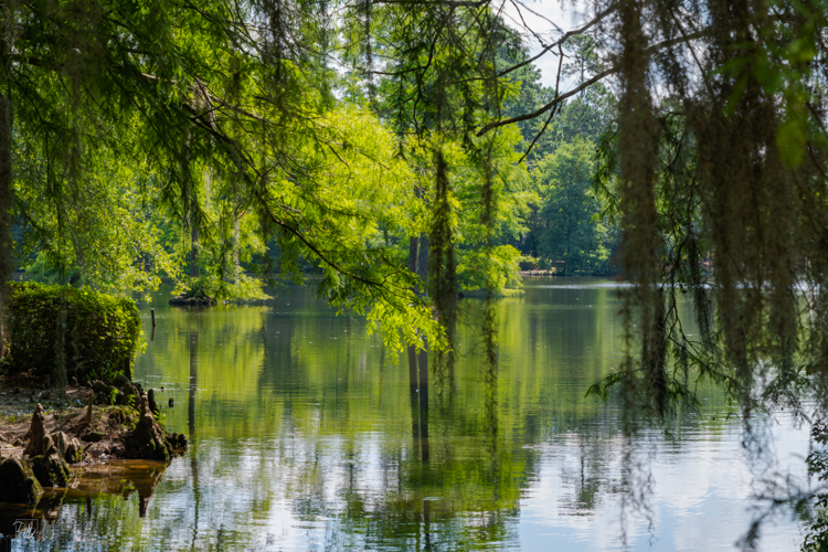 DSCF3241-향상됨-노이즈 감소-편집.jpg