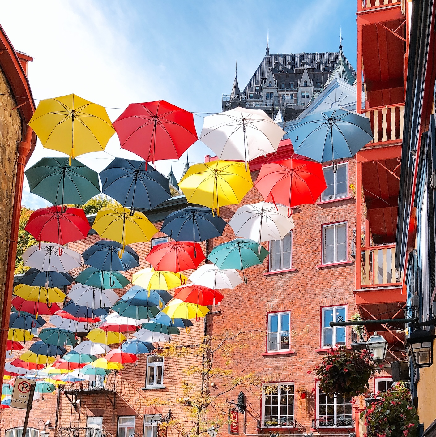 퀘백 우산 1.jpg