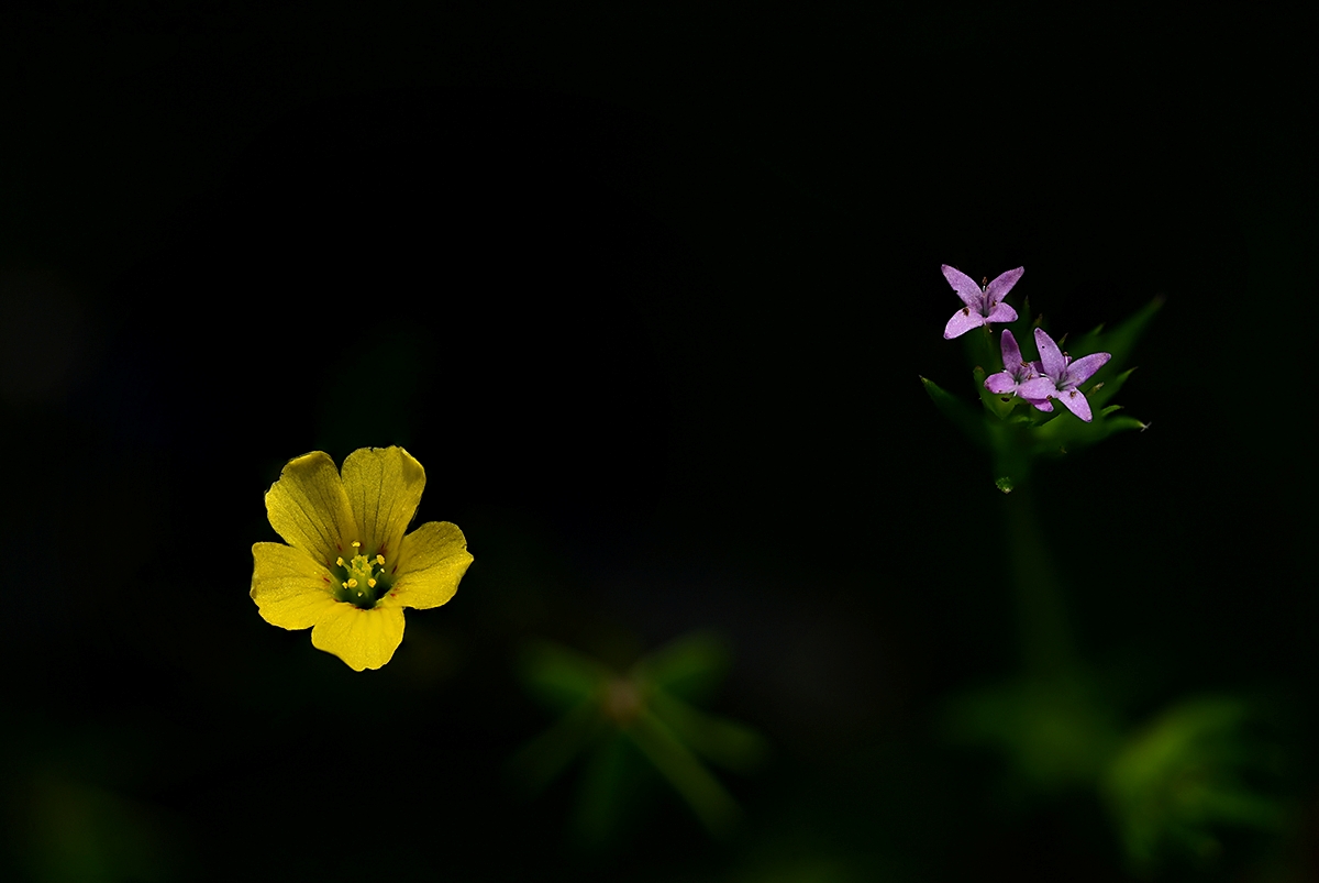 05132025-03 copy.jpg