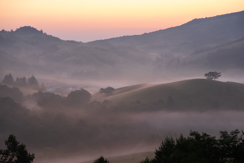 DSCF8354-향상됨-노이즈 감소-2.jpg