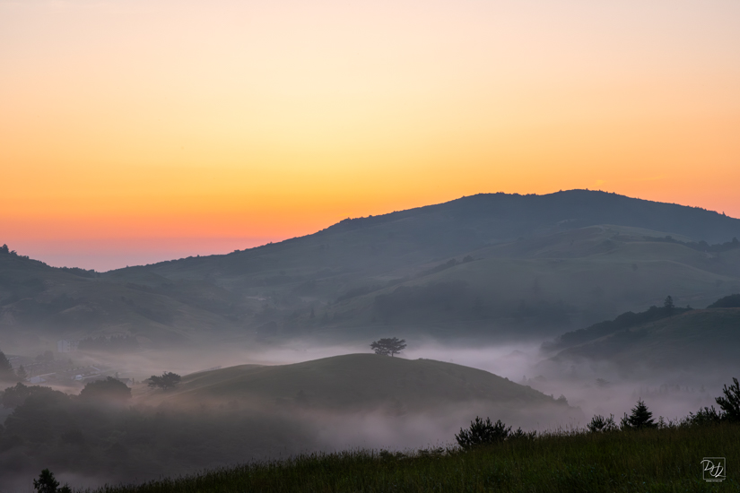 DSCF8382-향상됨-노이즈 감소-편집-2.jpg