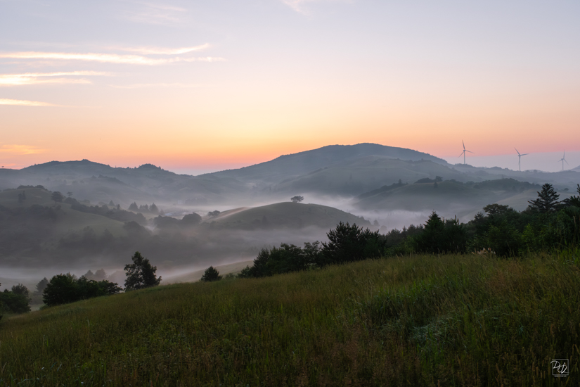 DSCF8348-향상됨-노이즈 감소-편집-2.jpg