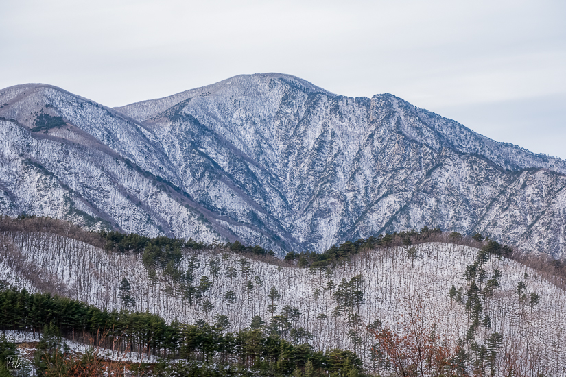 DSCF4286-향상됨-노이즈 감소-편집.jpg