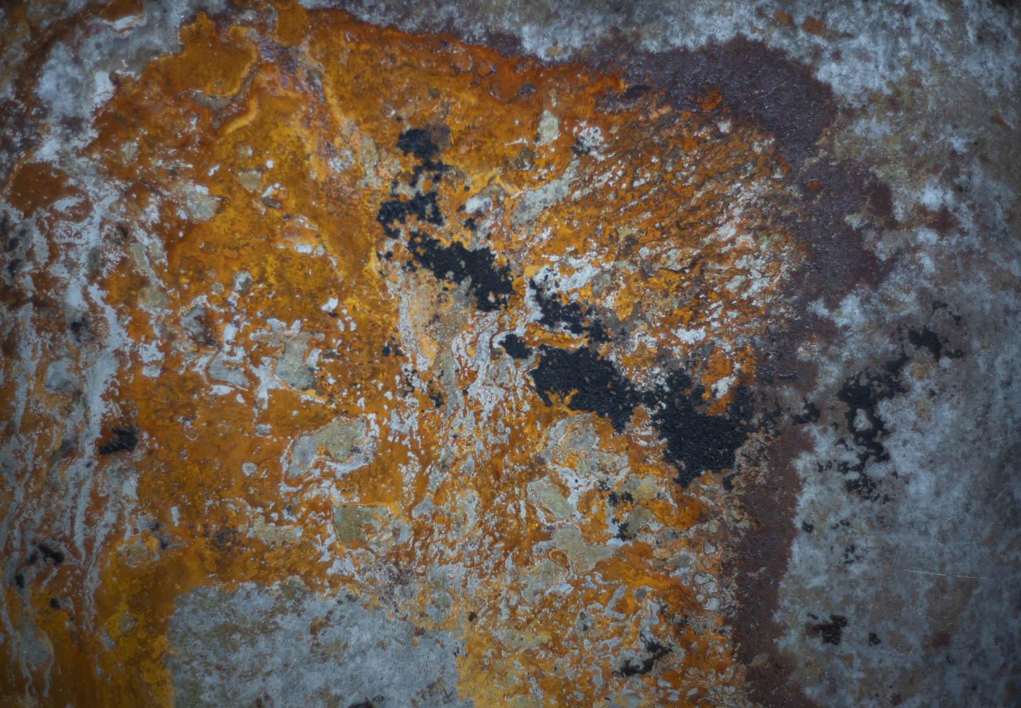 new camera 3 2-22.jpg